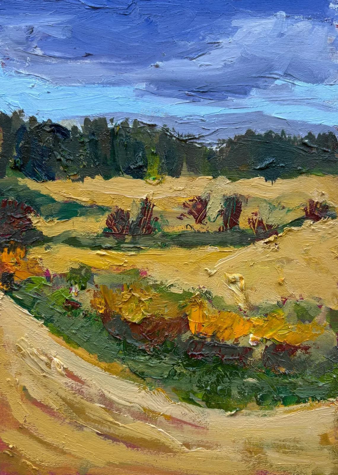 Irish Fields (Pine Forest)