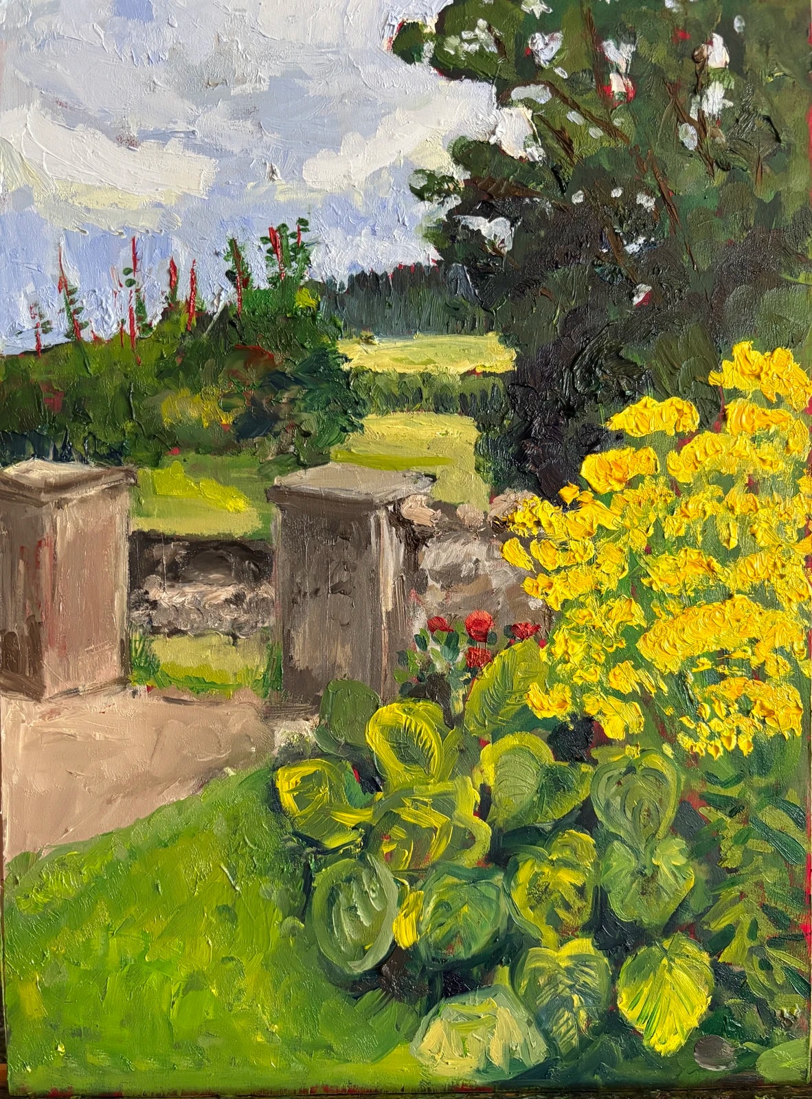 M's Garden